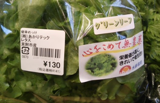 vegetables-shipment2