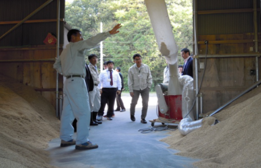 inspection_mitsuke-staff2